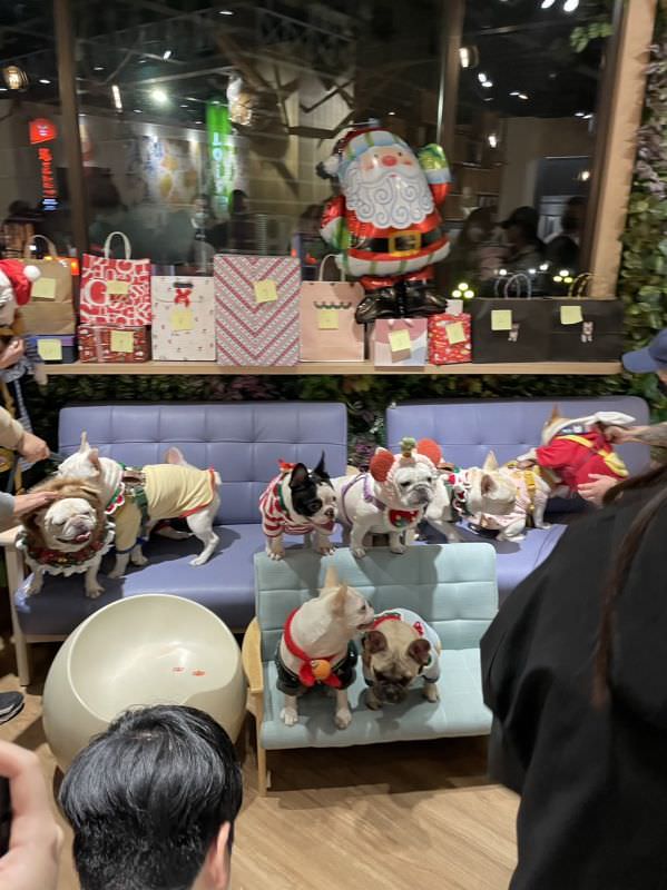 森林小徑文心店对宠物超友善